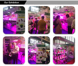 The Flexible Deep Healing Therapy Knee Phototherapy 15W Red Light Therapy Home Use 660nm 850nm Pain Relief