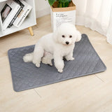Dog Pee Pad Blanket β Reusable, Washable, Waterproof Pet Bed Mat