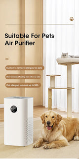 Air Purifier Intelligent Regulation HEPA Negative Ion Purification Multifunctional Air Fresh Formaldehyde Dust Pet Hair Removal