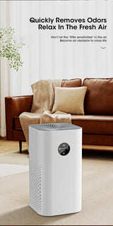 Air Purifier Intelligent Regulation HEPA Negative Ion Purification Multifunctional Air Fresh Formaldehyde Dust Pet Hair Removal