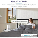 Air Purifier for Allergies and Asthma, 457 Sq ft., H13 True HEPA Filter, Gray