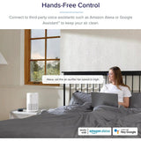 Air Purifier for Allergies and Asthma, 457 Sq ft., H13 True HEPA Filter, Gray