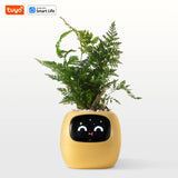 AI Smart Planter β Fun & Easy Plant Care