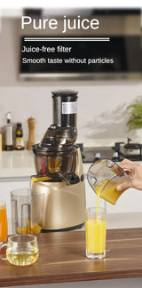Slow Masticating Juicer Cold Press, Filter-Free Easy Wash, Residue Separation, 110V or 220V
