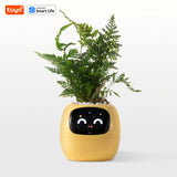 AI Smart Planter β Fun & Easy Plant Care