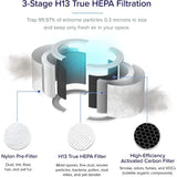 Air Purifier for Allergies and Asthma, 457 Sq ft., H13 True HEPA Filter, Gray
