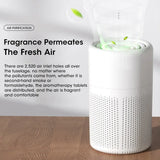 Air purifier with fragrance aromatherapy removing secondhand smoke and formaldehyde