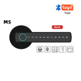 Black RAYKUBE M5 smart fingerprint door lock with numeric touchscreen keypad and Tuya Bluetooth control