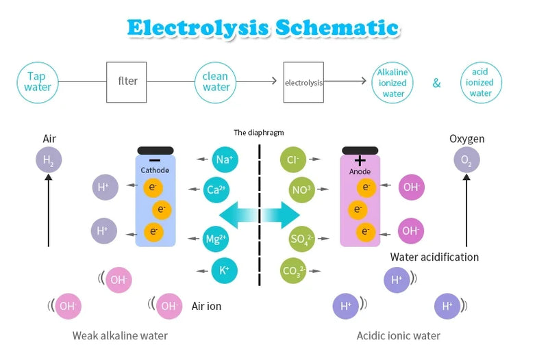 SPE&PEM High Concentration Hydrogen Water Generator Hydrogen Water Generator Bottle With LED Screen Hydrogen-rich Water Cup