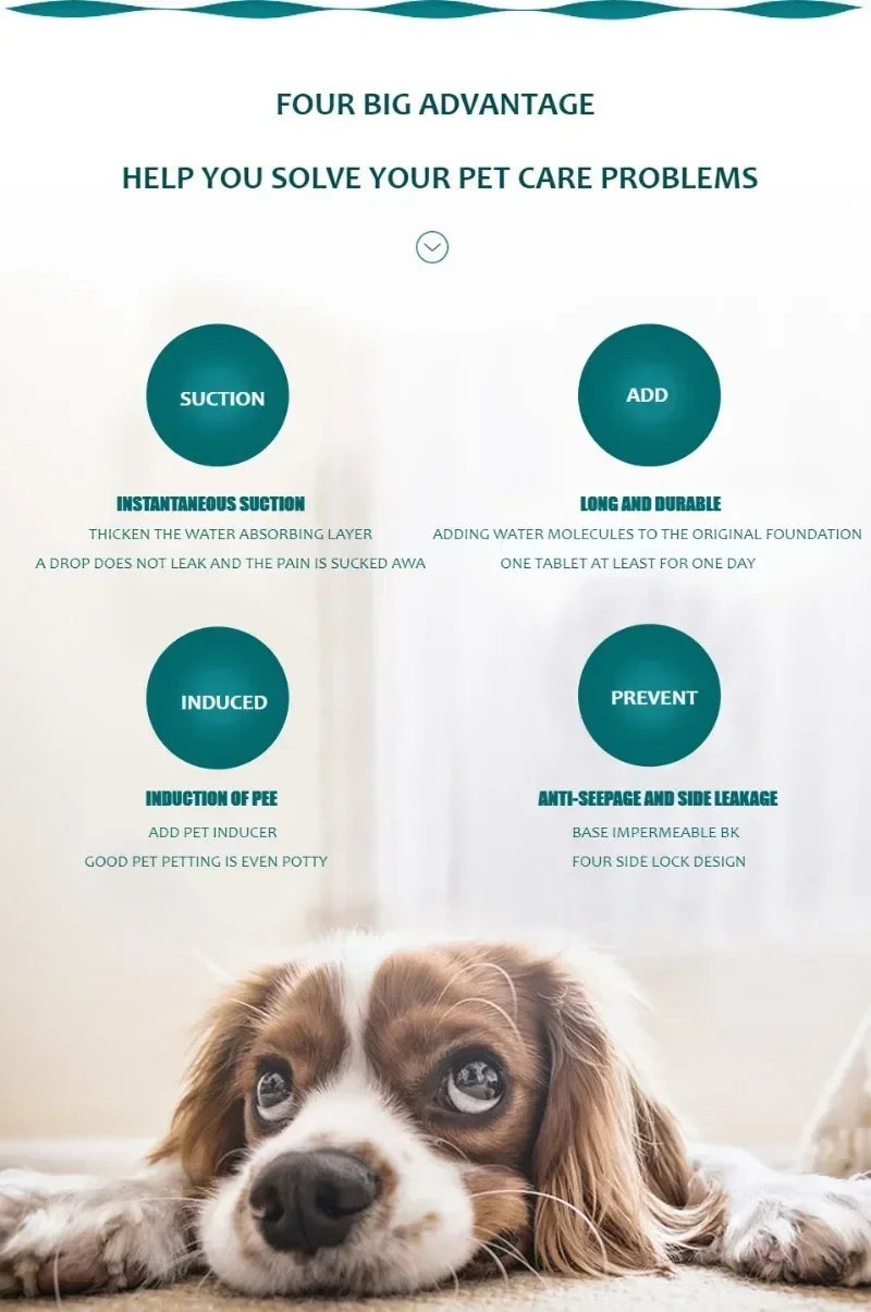 Dog Pee Pad Blanket – Reusable, Washable, Waterproof Pet Bed Mat