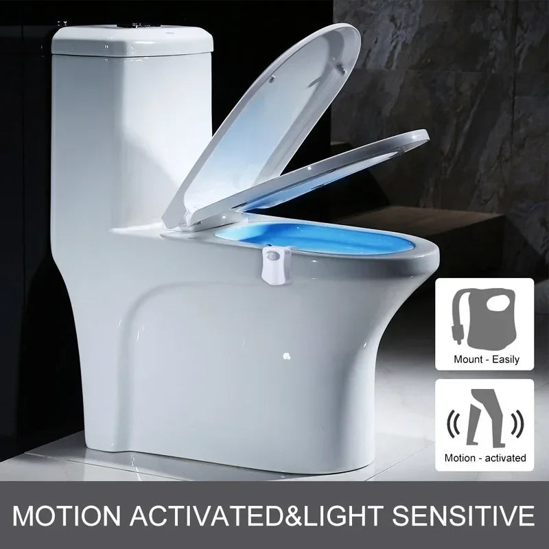 motion activated light sensitive
