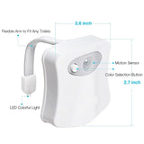 led colorful light