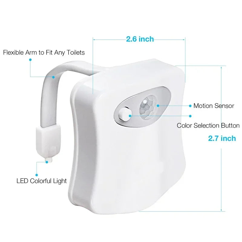 led colorful light