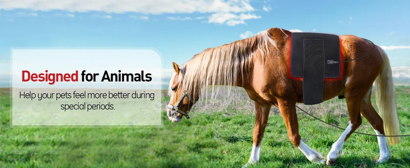 Updated Red Light Therapy Heating Pad for Body Device Cushion Mat Waist Back Shoulder Muscle Pain Relief Relax Infrared Light