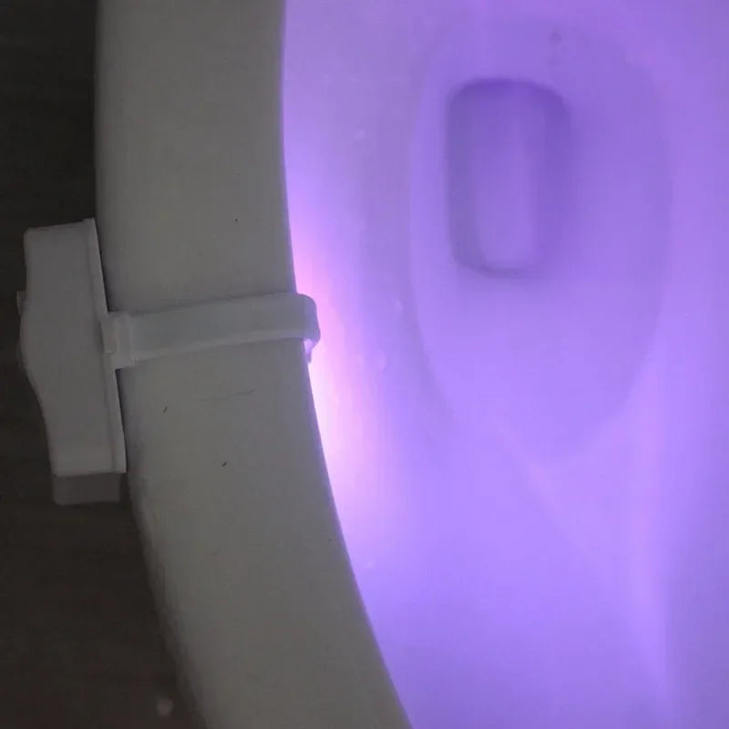 led in side the wc