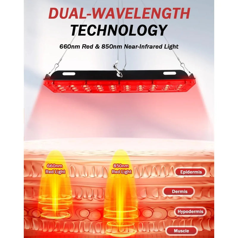Diagram of 660nm red light and 850nm near-infrared light penetrating skin layers to improve muscle and dermis health